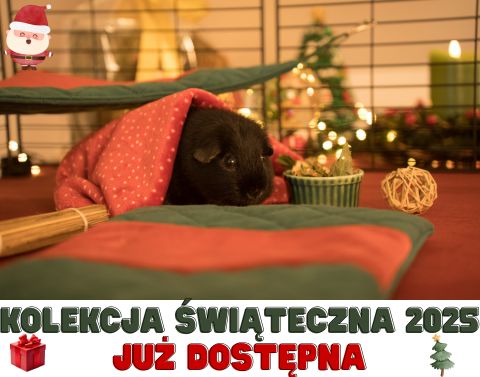 2025 święta świnka