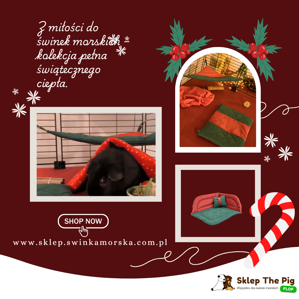 🎄 Świąteczna kolekcja akcesoriów dla świnek morskich – limitowana edycja już dostępna! 🐹✨