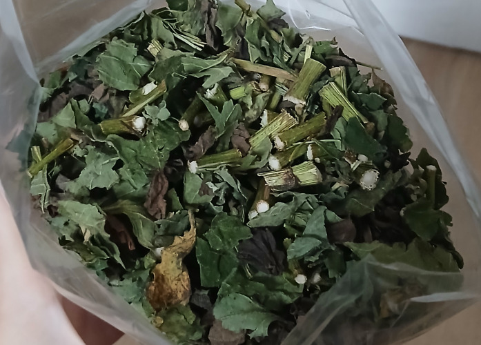 Aleksandra, Poznań Aleksandra, Poznań