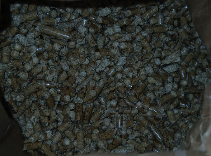 Aleksandra, Poznań Aleksandra, Poznań