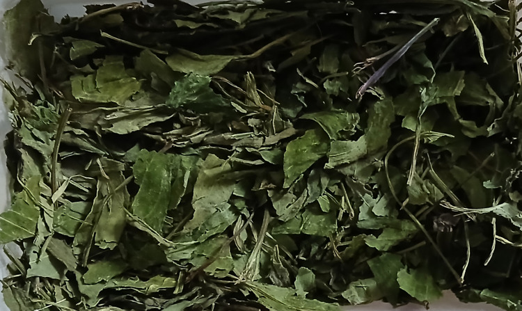 Aleksandra, Poznań Aleksandra, Poznań