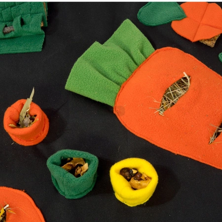 Marchewkowe pole - plac zabaw i mata węchowa 73x53cm dla świnek morskich