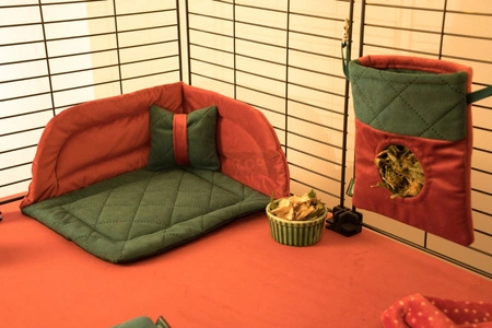 Świąteczne legowisko narożne dla świnek morskich 2025