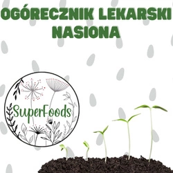 Ogórecznik lekarski - nasiona do domowego wysiewu