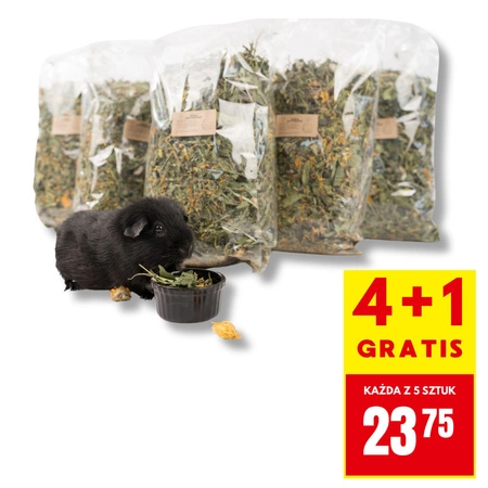 4+1 GRATIS  Zioła rutynowe dla kawii domowej - mieszanka ziołowa 500g
