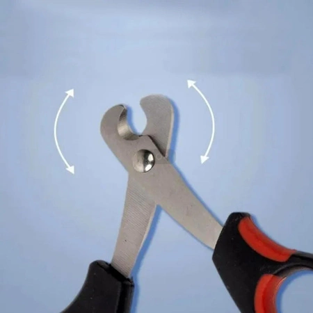 Nożyczki do obcinania pazurków świnki morskiej