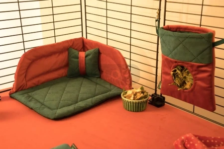 Mały świąteczny paśnik dla świnek morskich 2025