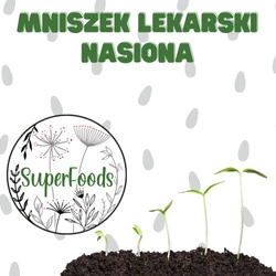 Mniszek lekarski - nasiona do domowego wysiewu