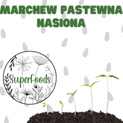 Dzika marchew - nasiona do domowego wysiewu