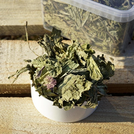 Babka szerokolistna (Plantago major L.) liść 100g / pudełko 1200ml dla świnki morskiej