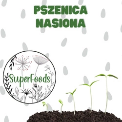 Pszenica - nasiona do domowego wysiewu