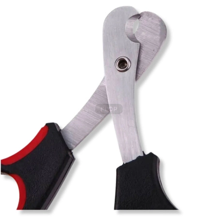 Nożyczki do obcinania pazurków świnki morskiej