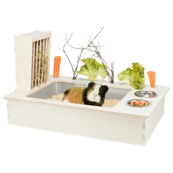 Ogromny kuwetopaśnik Trixie dla królika domowego