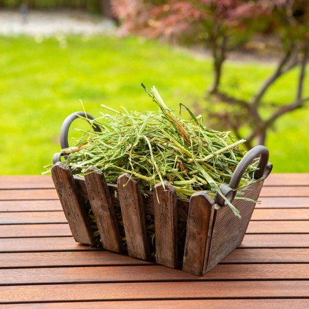 TIVO Usianowanko 1 kg – pyszne i zieloniutkie sianko dla świnek morskich