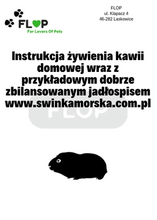 Przystępna instrukcja prawidłowego karmienia kawii domowej z przykładowym zbilansowanym jadłospisem na kilka dni FLOP