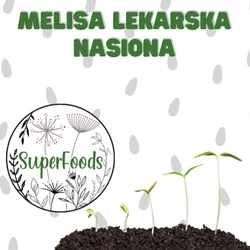 Melisa lekarska - nasiona do domowego wysiewu