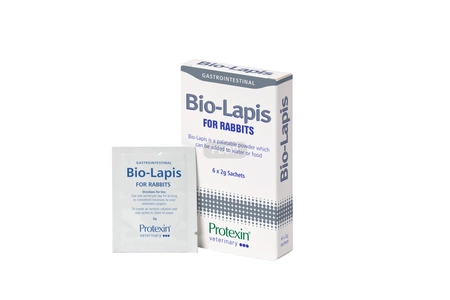 Bio-Lapis 6x2g preparat 4w1 dla świnek morskich: probiotyk, prebiotyk, elektrolit i witaminy