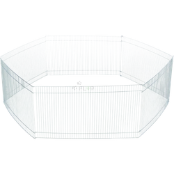 Wybieg dla świnki morskiej