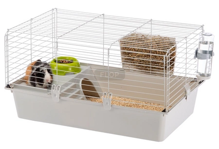 Klatka Cavie 80 z podstawowym wyposażeniem - absolutne minimum powierzchni dla świnki