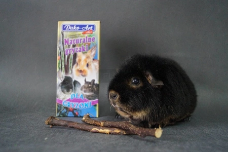 Gałęzie jabłoni i gruszy - gryzaki naturalne DAKO-ART 80g dla świnki morskiej