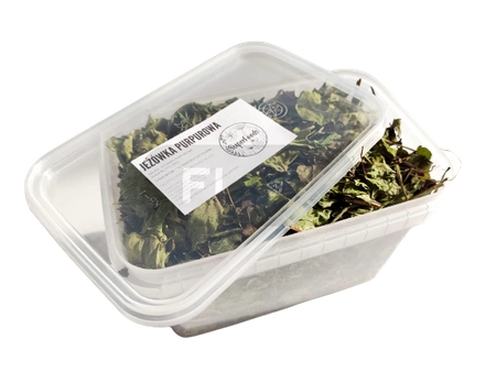 Jeżówka purpurowa (Echinacea purpurea (L.) ziele 100g / pudełko 1200ml dla świnki morskiej