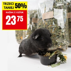 PROMOCJA 3 x Zioła rutynowe dla kawii domowej - mieszanka ziołowa 500g