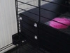 Przezroczysty / bezbarwny nit do kuwet Cavia Creative