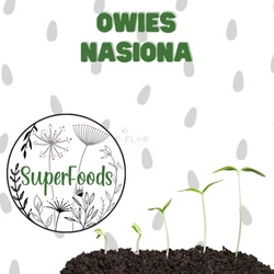 Owies - nasiona do domowego wysiewu