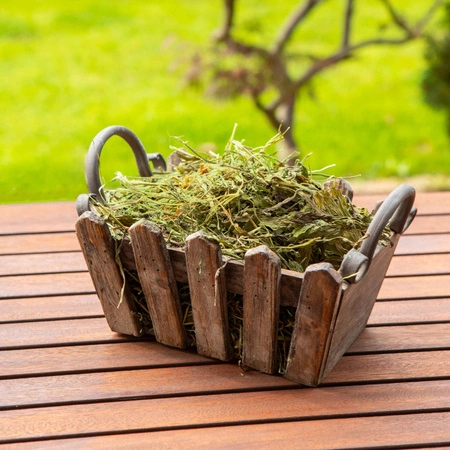 TIVO Usianowanko TERMO 1 kg – zielone, naturalnie suszone sianko dla świnek morskich