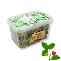 Truskawka (Fragaria ×ananassa L.) liść 100g / pudełko 1200ml dla świnki morskiej