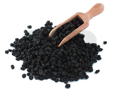 Czarny bez owoc 50g SuperFoods na odporność dla świnek morskich