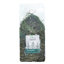 TIVO Skrzyp polny 75g dla  świnki morskiej