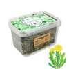 Mniszek lekarski (Taraxacum officinale) ziele 100g / pudełko 1200ml dla świnki morskiej